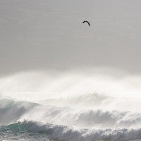 Atlantic Swell