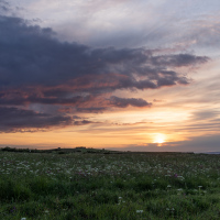 Sunset over Bempton