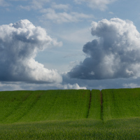 Two Clouds over a Field