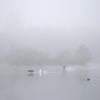 Walking on Water