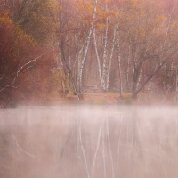 Autumn Mist