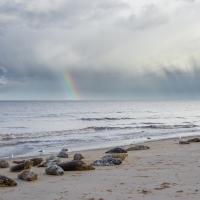 Rainbow I, Horsey Gap