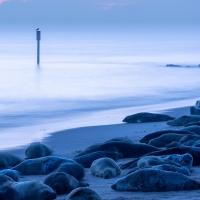 Blue Hour II, Horsey Gap