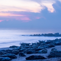 Blue Hour, Horsey Gap