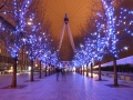 London Eye, South Bank