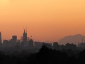 London Skyline from Richmond Park