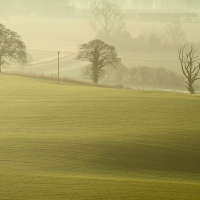 Three Trees, Pewsey Vale