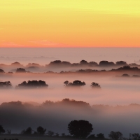 Pre Dawn, Pewsey Vale