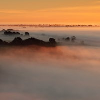 Heavy Mist, Pewsey Vale