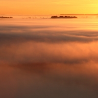 Heavy Mist II, Pewsey Vale