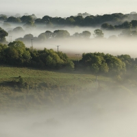 Telegraph Poles, Pewsey Vale