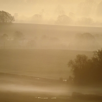 Mist, Pewsey Vale