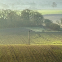 Telegraph Pole, Pewsey Vale