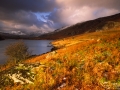 Bracken, Llynnau Mymbryr and Mount Snowdon