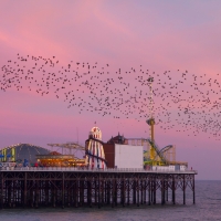 End of the Pier