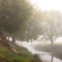 Beverley Brook II