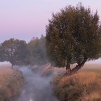 Beverley Brook I