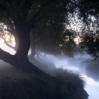 Beverley Brook III