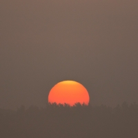 Rising Sun
