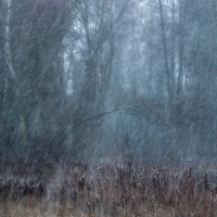 Snow Storm Frimley Fishery