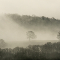 View from Leith Hill