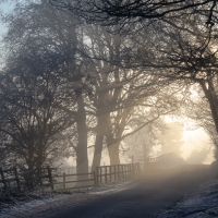 Light Tunnel, Surrey Hills