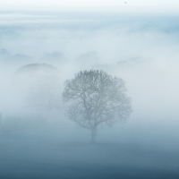 Lone Tree, Hogs Back