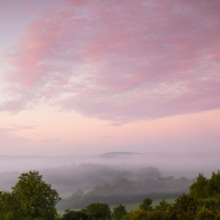 Morning Mist III,  Newlands Corner