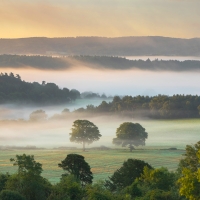 Morning Mist II,  Newlands Corner