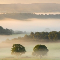 Morning Mist I,  Newlands Corner