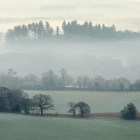 Muted Newlands Corner