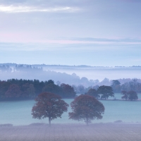 Pre Dawn Pink,  Newlands Corner