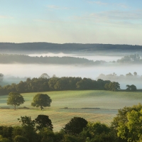 Newlands Corner Panorama