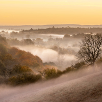 Hidden Valley, Surrey Hills