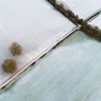 Newlands Corner From Above