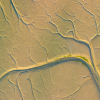 Tidal Sands I