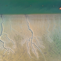Tidal Sands X