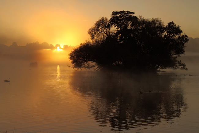 Richmond Pond in the Mist