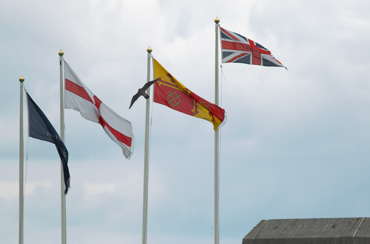 Flag Flyby