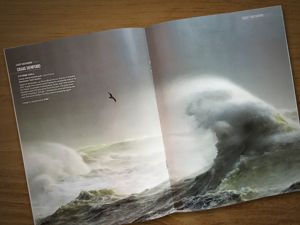 BBC Wildlife Pullout Spread