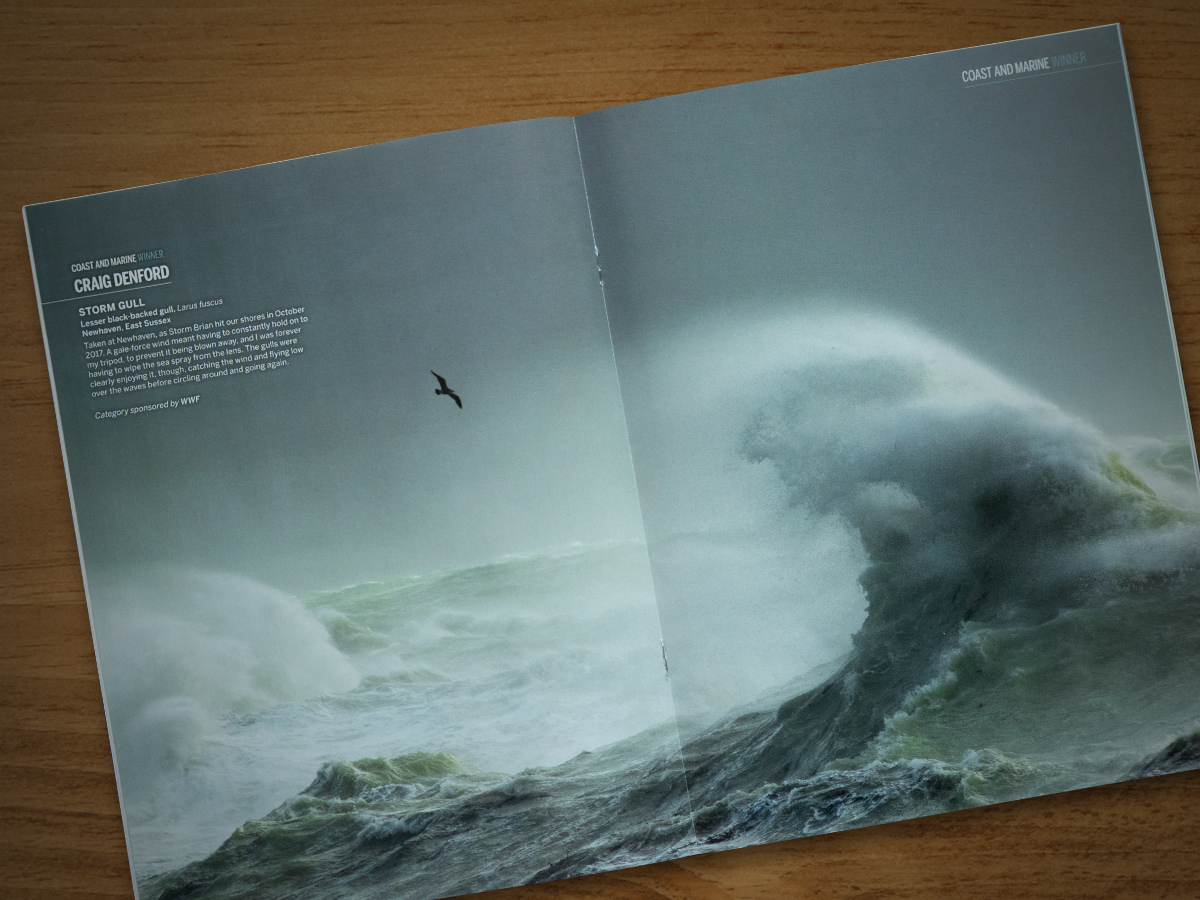 BBC Wildlife Supplement Spread